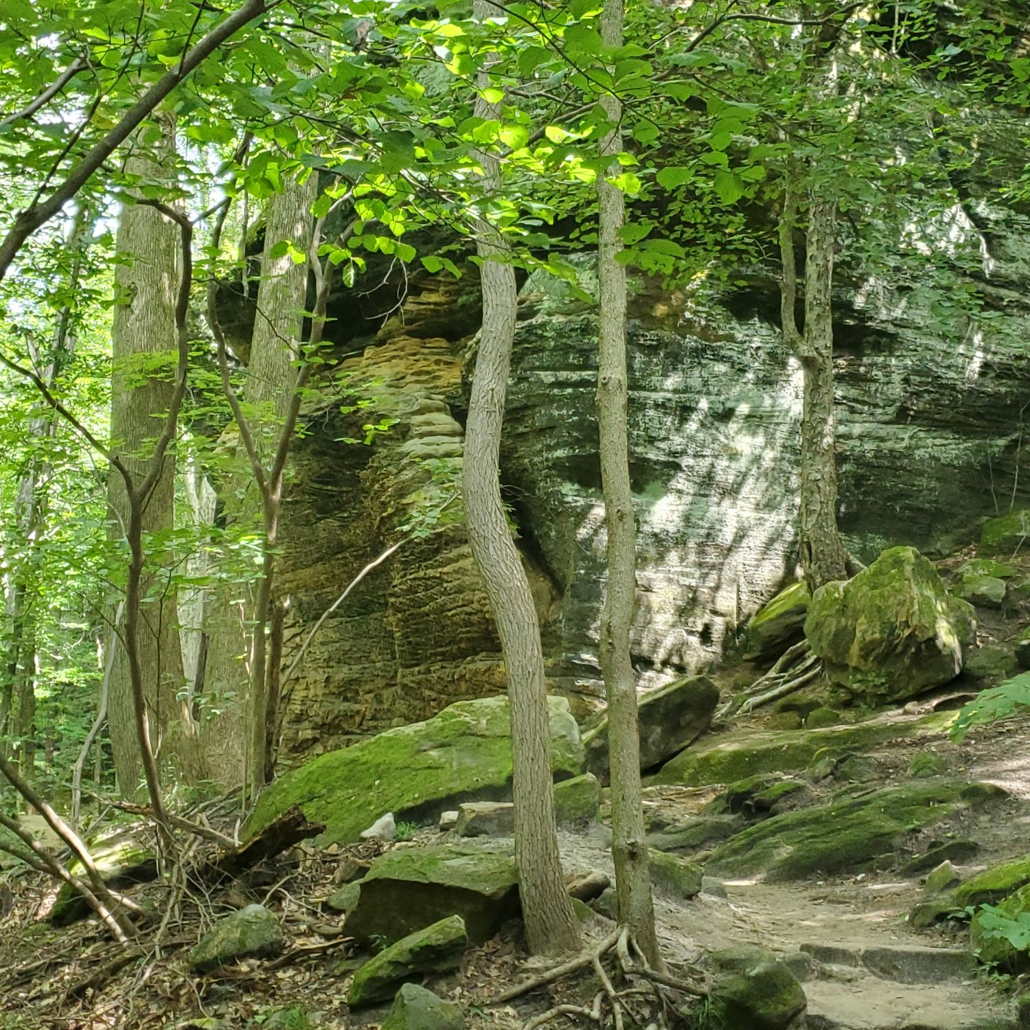 Ledges and Pine Grove Trails 